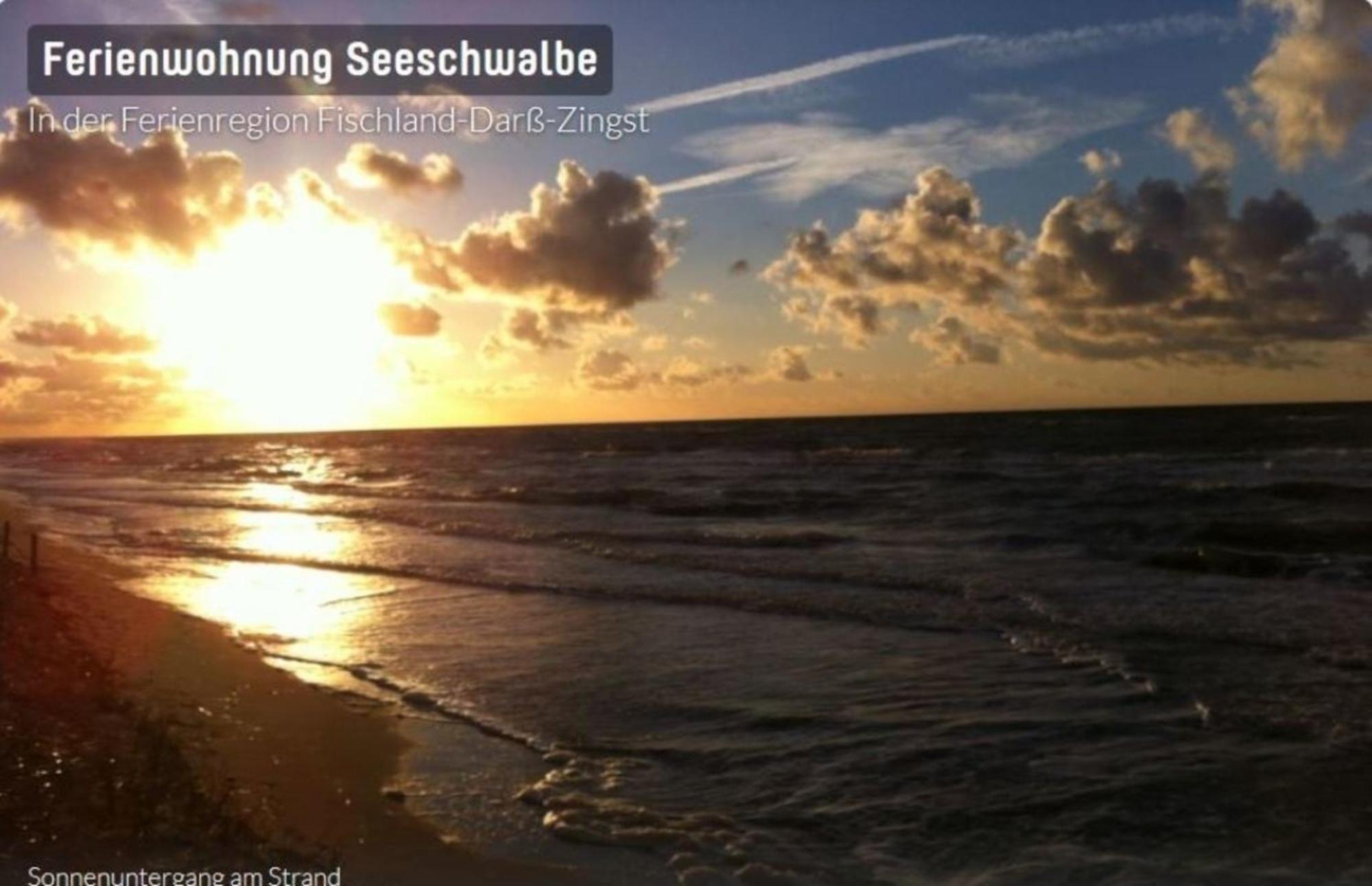 Seeschwalbe App 34 Neuhaus  外观 照片